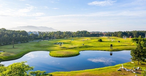 Bảo tàng ngoài trời nằm giữa rừng thông đang gây sốt: Cách Hà Nội hơn 1 tiếng lái xe, quy tụ hơn 100 tác phẩm được dàn dựng giữa không gian ngập nắng và gió