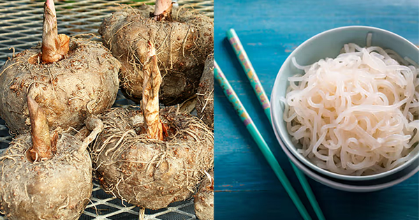 Độc lạ 1 loại củ Việt Nam có thể "hô biến" thành cơm, bún, thạch: Giúp giảm cân, ổn định đường huyết, người Nhật cực thích