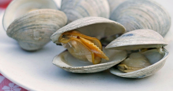 4 thực phẩm dễ tích tụ cả 