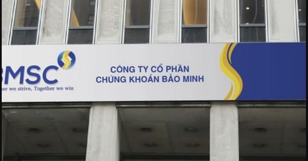 Danh tính 5 doanh nghiệp dự kiến mua hơn 48 triệu cổ phiếu “ế” của BMS