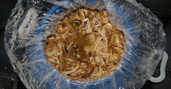 Mua rau mùa đông, 5 loại nhìn đẹp nhưng “trời cho cũng đừng lấy”, vừa ít dinh dưỡng, lại có nguy cơ hại sức khỏe