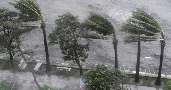 Người dân khu vực này đặc biệt lưu ý: Chỉ ít giờ tới, nguy cơ gió mạnh và mưa dông rất cao