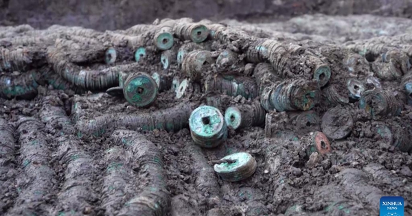 Phát hiện kho báu nặng 1,5 tấn gồm hàng triệu vật thể 