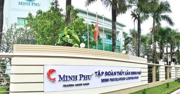 Thủy sản Minh Phú chốt ngày trả cổ tức bằng tiền