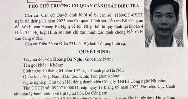 Bộ Công an truy nã đặc biệt Hoàng Bá Nghị, Chủ tịch Công ty NhoNho