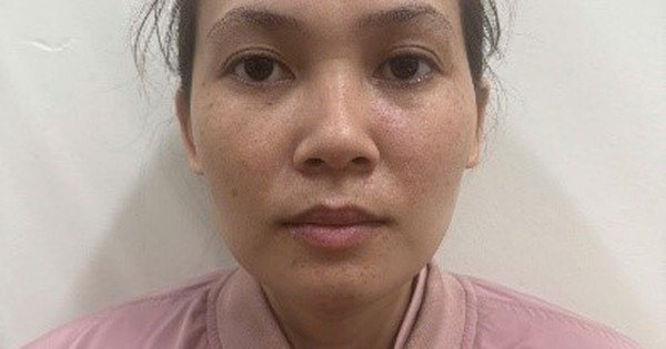 Bắt giữ, xử lý Đinh Mộng Duy