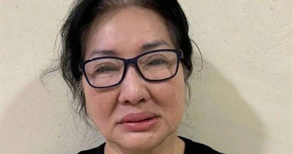 Chủ tịch Quốc Cường Gia Lai Nguyễn Thị Như Loan nộp 100 tỷ đồng, 4 thửa đất