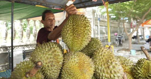 Quốc gia trồng 20.000 ha sầu riêng chính thức được xuất khẩu tươi vào Trung Quốc, cạnh tranh với Thái Lan, Việt Nam