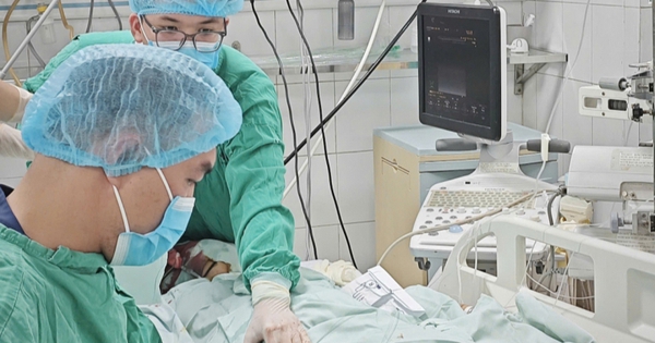 Nữ giáo viên nguy kịch sau bữa bún ngan