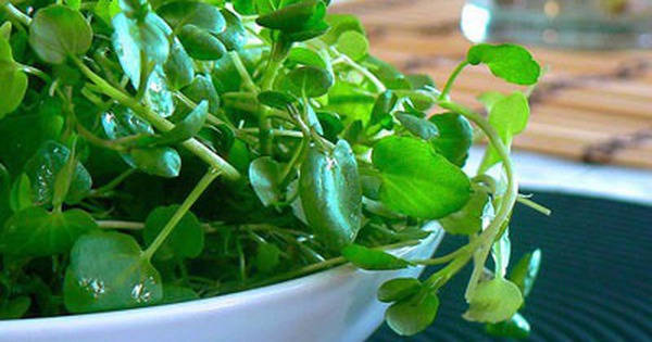 Chợ Việt có loại rau 10.000/bó, là "trùm cuối" chống ung thư được cả thế giới công nhận