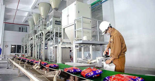 Dragon Capital không còn là cổ đông lớn tại Hóa chất Đức Giang trước khi cổ phiếu lao dốc