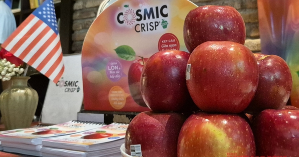 500 container táo Mỹ sắp đổ bộ chợ Tết Việt