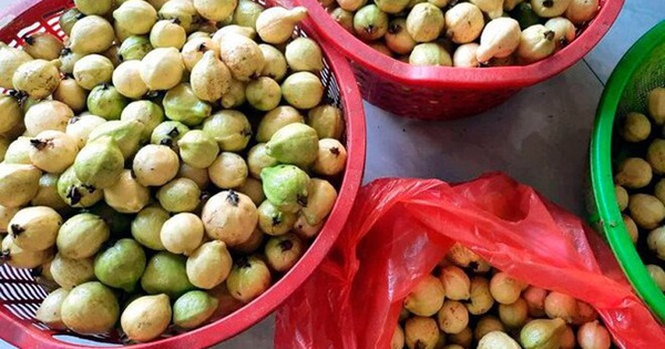 Quả quen mặt ở chợ Việt lọt top 