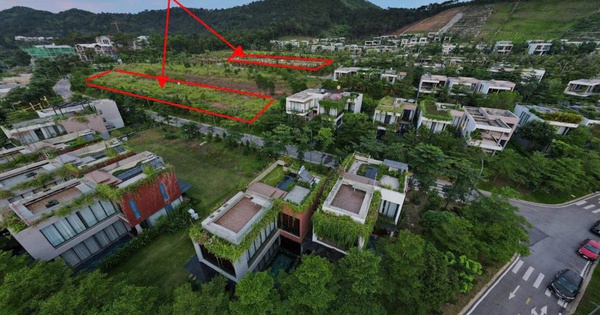 Phú Thọ đấu giá thành công 15 lô đất ở, đất thương phẩm tại Khu du lịch sinh thái Đại Lải