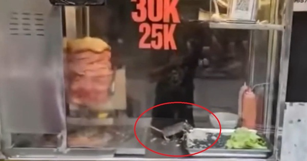 Sốc: Video chuột thản nhiên gặm rau, thịt trong tủ bánh mì ở Hà Nội