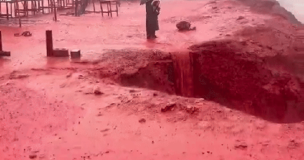 "Mưa máu" nhuộm đỏ cả bãi biển, người dân sợ hãi nghĩ đến lời tiên tri về ngày tận thế