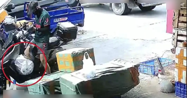 Nhận 97.000 đồng để giao... 1 con cá sấu, shipper gặp nguy khi đơn hàng bất ngờ sống dậy giữa đường đi