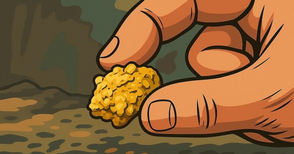 Cổ phiếu doanh nghiệp đào kho báu lớn nhất Việt Nam rơi 24% sau thông báo khẩn