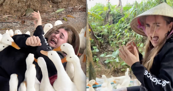 Cô gái Tây la hét thất thanh khi thử 1 trò chơi độc lạ ở Việt Nam