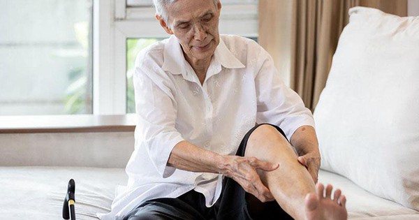 Dưỡng sinh hiện đại - khi công nghệ và y học tích hợp trong một căn hộ