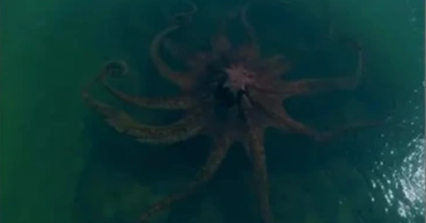 Bất ngờ phát hiện 