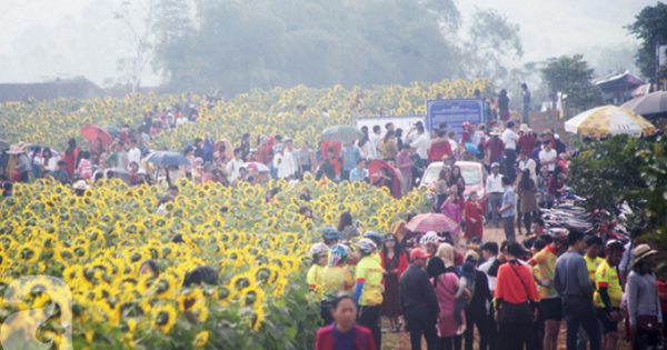 Nơi được quan tâm nhất lúc này ở Nghệ An: Cảnh như nước ngoài, mở cửa miễn phí nhưng có lưu ý đặc biệt