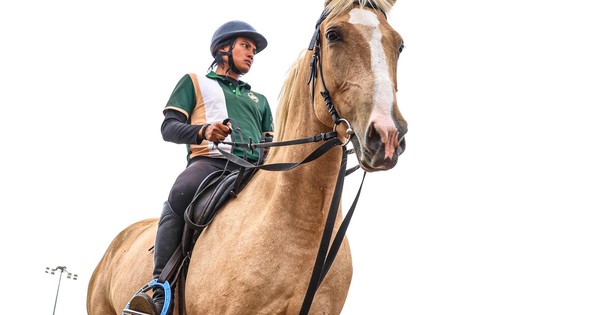 Bên trong nơi nuôi dưỡng giống ngựa triệu đô hiếm bậc nhất thế giới tại Việt Nam