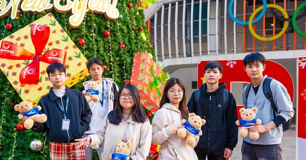 Xếp hàng xuyên đêm check-in cây thông Noel cao bằng tòa nhà 3 tầng ở Hà Nội