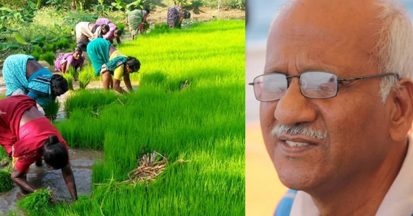 Cựu nhân viên ngân hàng bán nhà lấy 1,1 tỷ đồng mua mảnh đất hơn 12.000m2 làm trang trại để nghỉ hưu: “Chỉ kiếm được hơn 176 triệu/năm nhưng tôi rất vui”