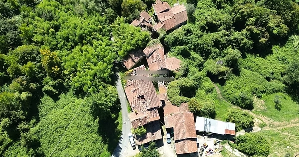 Đôi bạn thân U40 rủ nhau nghỉ hưu sớm, bỏ 2,3 tỷ mua lại cả 1 ngôi làng để cải tạo: 