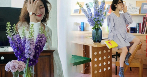 Muốn nhà sang như Tây dịp Tết, thử ngay phi yến xanh: Người mới chơi chớ dại mua loại này kẻo "tiền mất tật mang"