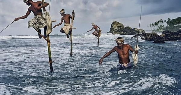 Phiên 23/12: Gần 700 tỷ đồng cổ phiếu Việt Nam được khối ngoại 