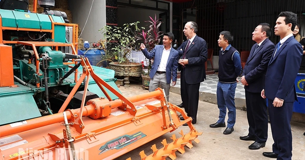 Giống lúa Việt gây 