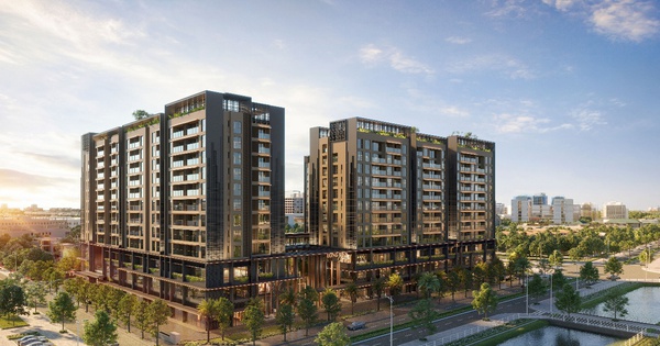 Taseco Group đón nhận Huân chương Lao động hạng Nhì nhân dịp kỷ niệm 20 năm thành lập