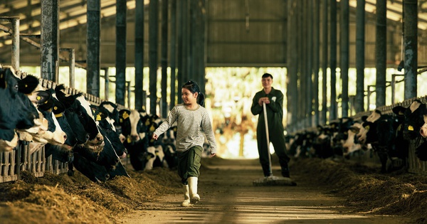 Mộc Châu Creamery: Di sản từ "nghệ nhân sữa" và vị ngon tiếp nối truyền đời