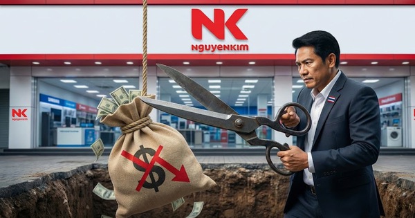 Đại gia Thái "cắt lỗ" Nguyễn Kim cho PICO, chấp nhận khoản lỗ đến 187 triệu USD