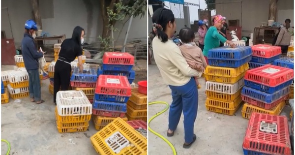 Người đàn ông Hà Nội đi mua 600 con vịt về phát cho người lạ mừng "Việt Nam vô địch": Phản ứng của vợ thế nào?