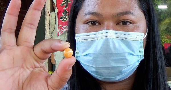 Mua con ốc 50 ngàn đồng về ăn, cô gái nghèo đổi đời thành tỷ phú nhờ báu vật giấu kín