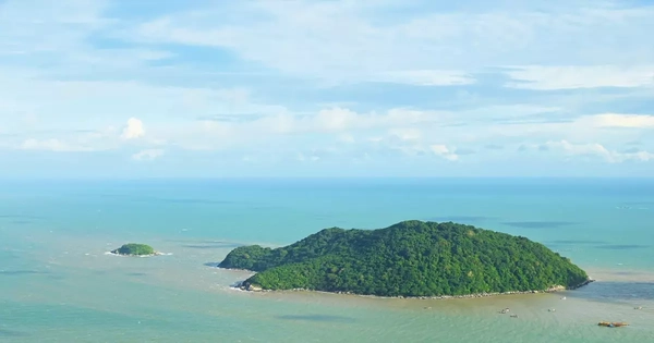 Cà Mau chuyển gần 10ha rừng phòng hộ để làm đường ra đảo Hòn Khoai