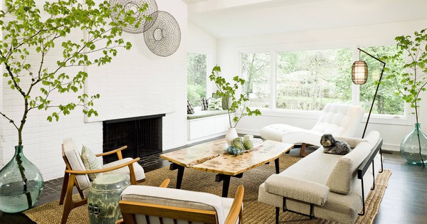 Đầu năm mới khuyên bạn nên trồng 5 loại cây này: Rước lộc vào nhà, hút tiền bạc như nam châm