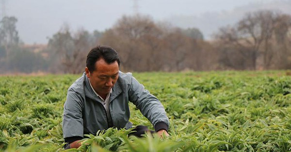Phát hiện người đàn ông sinh năm 1984 bán rau kiếm hơn 37 tỷ đồng/năm