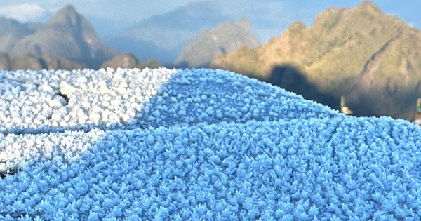 Một nơi tại Việt Nam nhiệt độ xuống 1 độ C, băng tuyết phủ trắng xóa