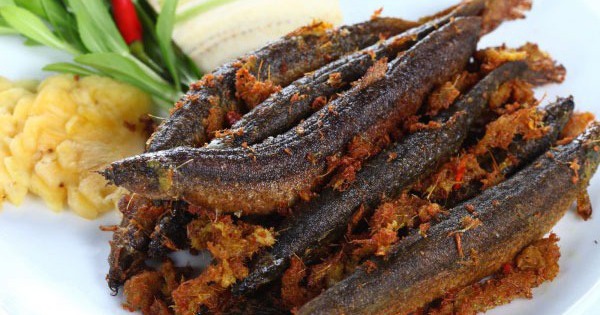 Loại cá được ví như 