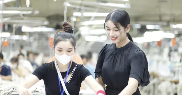 Bắc Ninh: Lương cao nhất gần nửa tỷ đồng/tháng, thưởng Tết 400 triệu/người