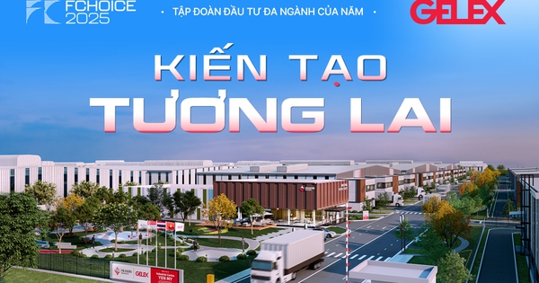 Hạ tầng GELEX IPO: Bước đi chiến lược tiếp theo của GELEX sau thành công với GEE