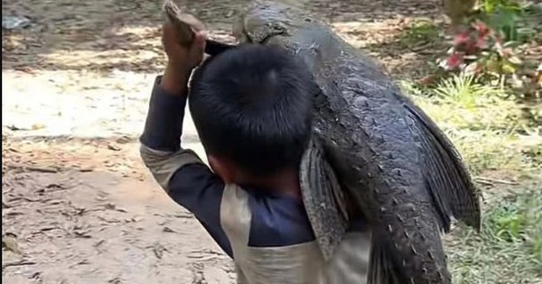 Cậu bé 5 tuổi gồng mình vác con "thủy quái" nặng trĩu đi khắp làng, ai nhìn cũng giật mình