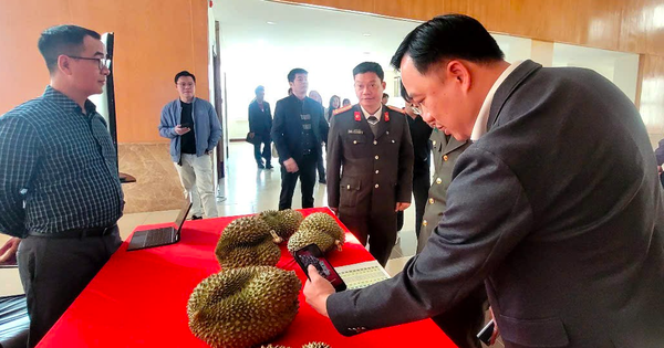 Thí điểm truy xuất nguồn gốc sầu riêng từ đầu năm 2026