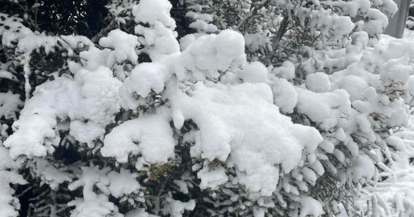 Nơi vừa có tuyết rơi hiếm có sau gần 20 năm!