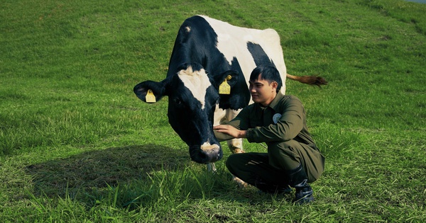 Mộc Châu Creamery: Kế thừa di sản để chuyển mình bền vững