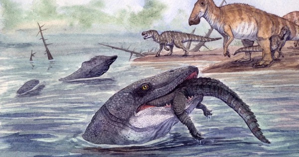 Thủy quái dài 11 mét 